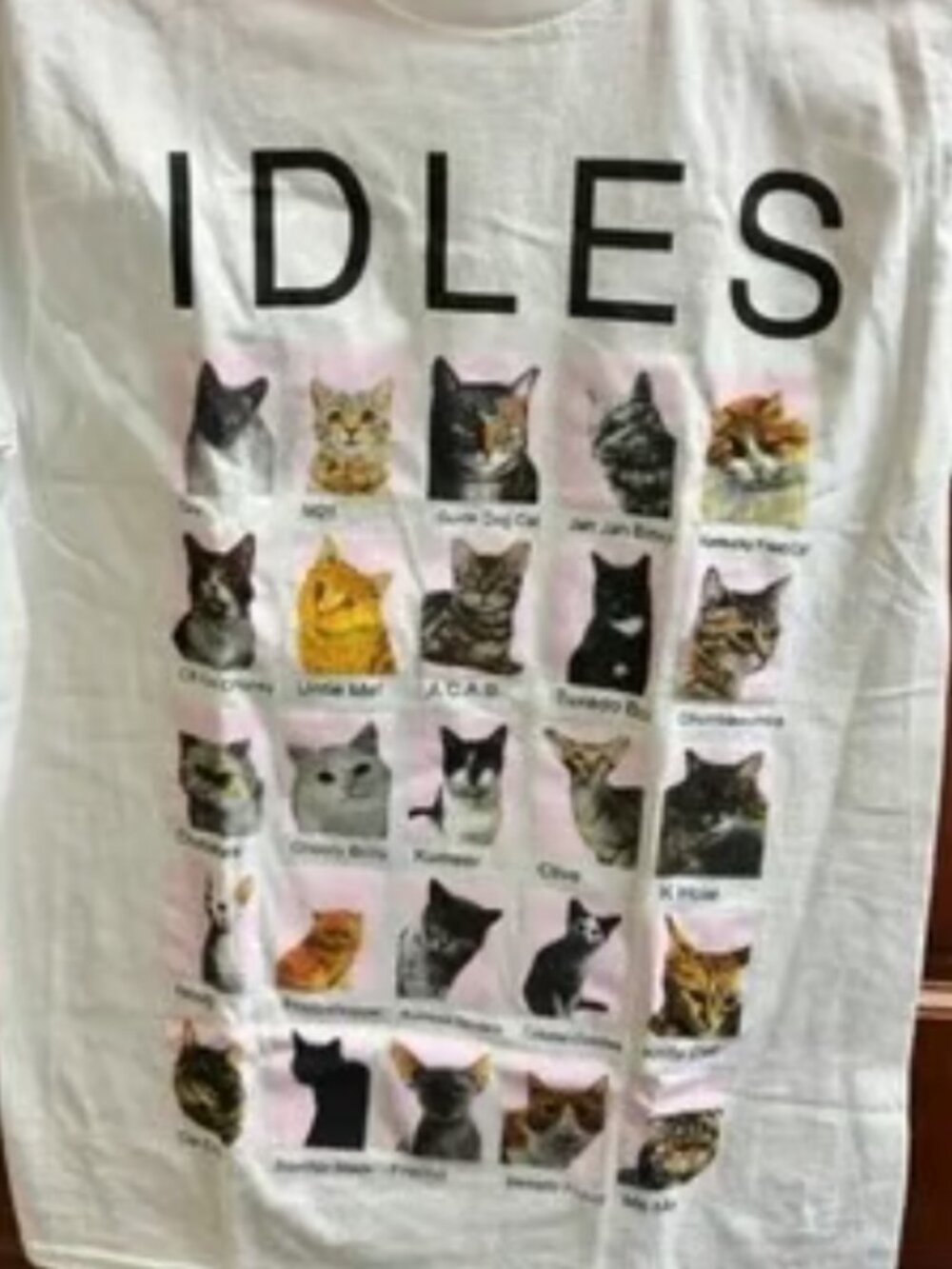 New! Idles Band Cat T-Shirt, Size XL